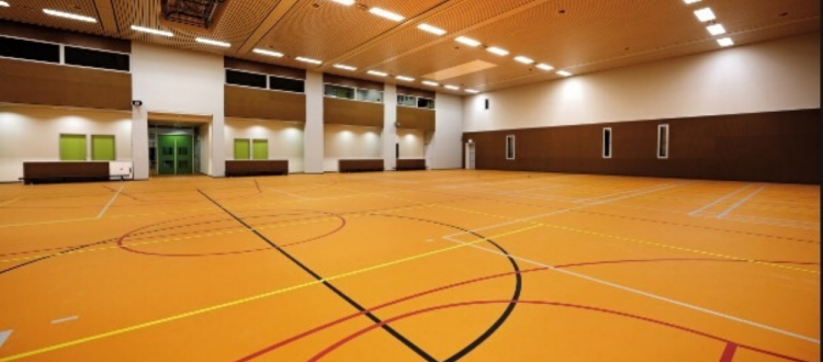 Linha Omnisports - Tarkett